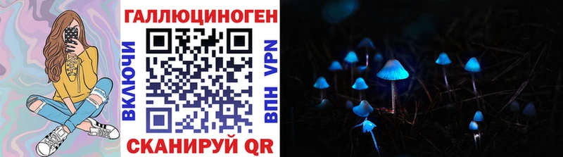 Псилоцибиновые грибы Magic Shrooms  Купить закладки  Курчатов 